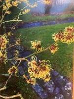 Sur le poème : <br /> "Fleurs de janvier" de Boblawap