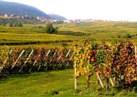 Sur le poème : <br /> "En Alsace, la vie de châteaux" de Arielle