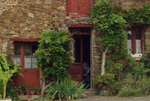 Sur le poème : <br /> "Hellébore* hors saison" de Arielle