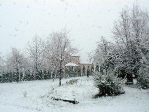 Sur le poème : <br /> "Le voyage d’hiver" de Tontonjacques