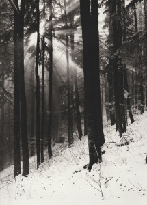 Sur le poème : <br /> "Sur la cime" de Cardaline