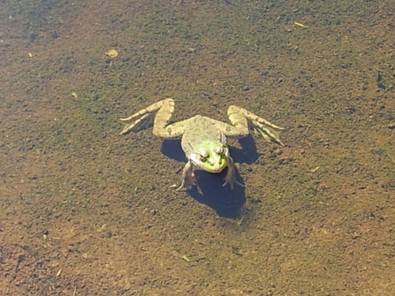 Illustration pour le poème