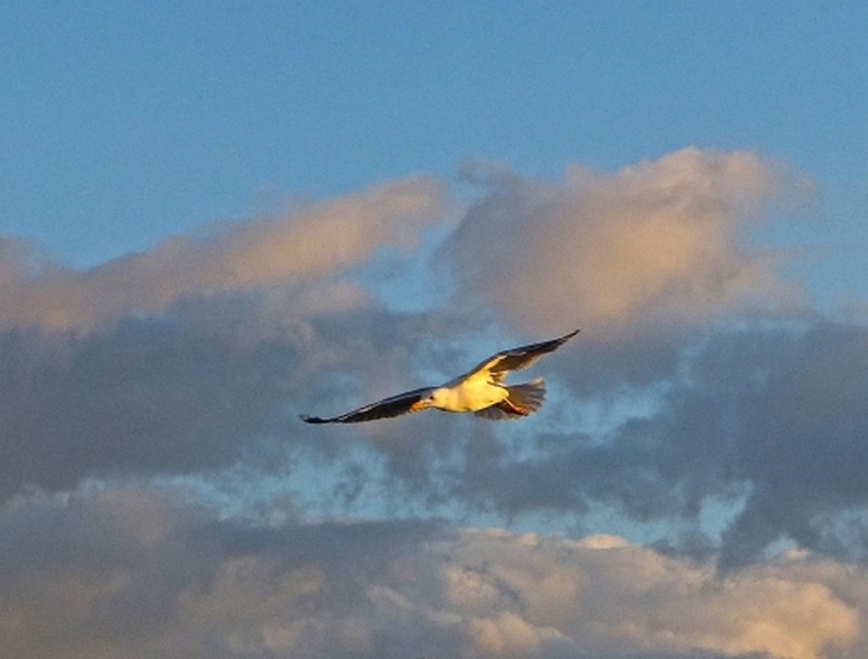 Illustration pour le poème