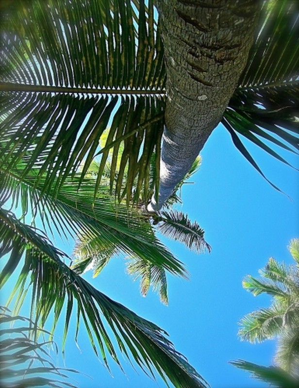 Illustration pour le poème