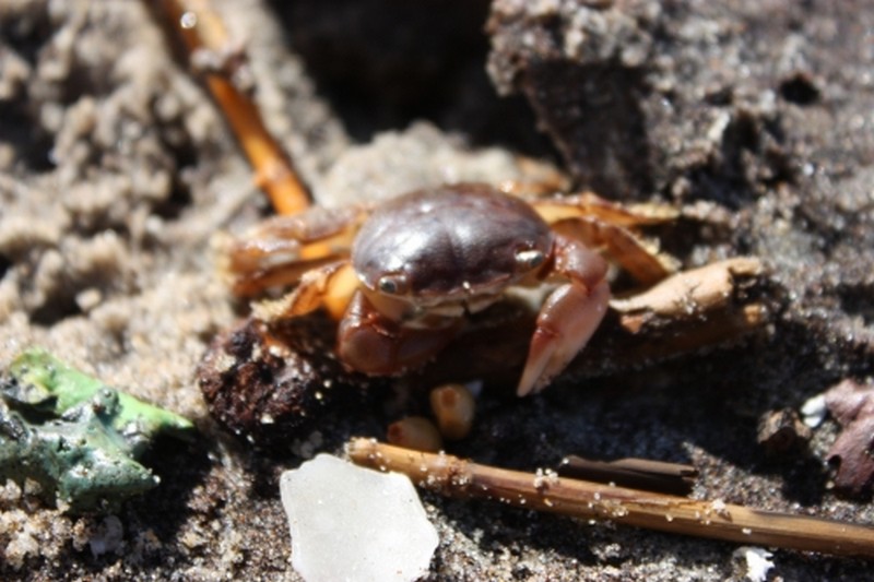 Illustration pour le poème