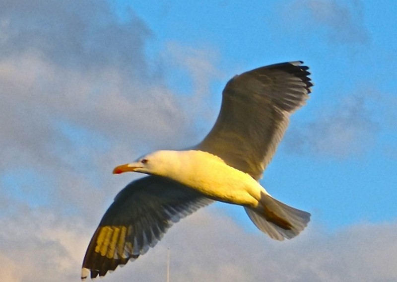 Illustration pour le poème