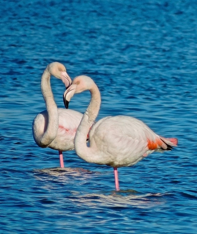 Illustration pour le poème