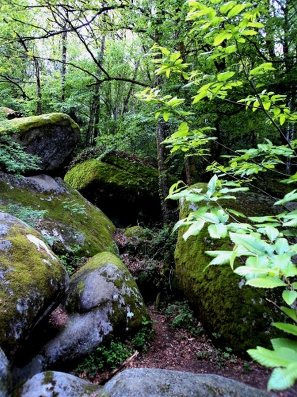 Illustration pour le poème