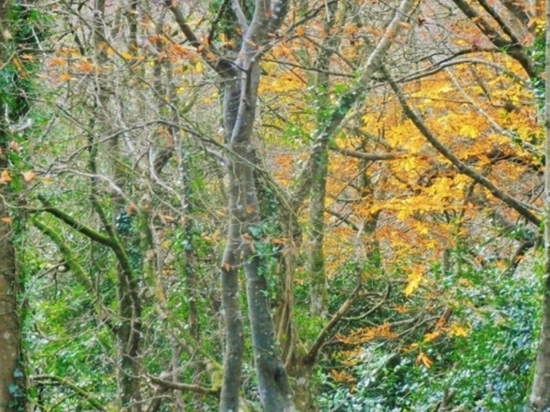 Illustration pour le poème