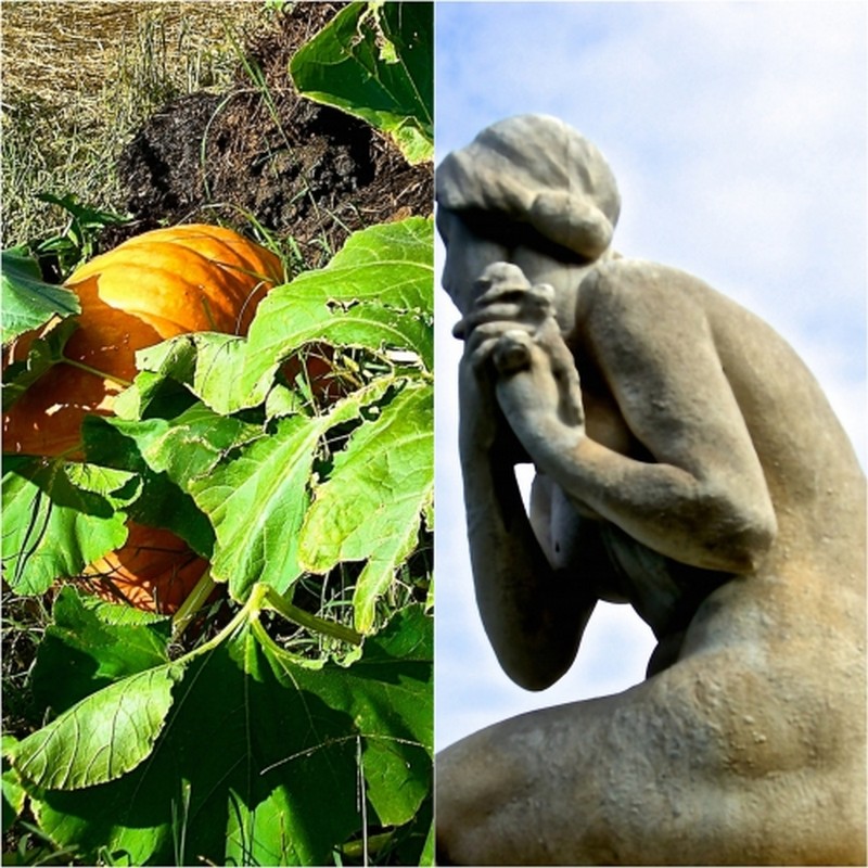 Illustration pour le poème