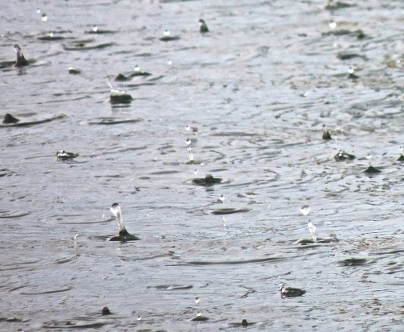 Illustration pour le poème