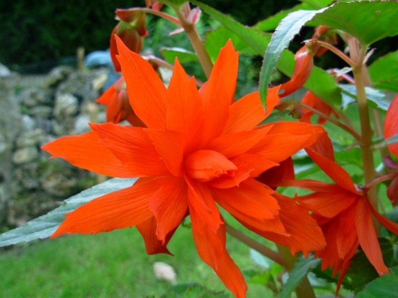 Illustration pour le poème