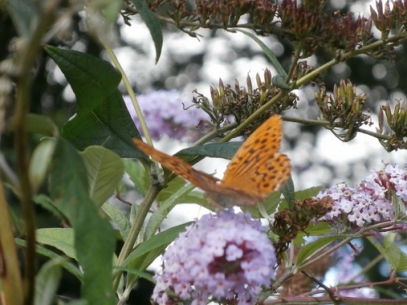 Illustration pour le poème