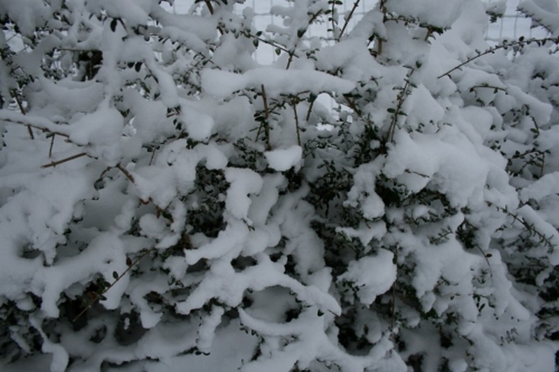 Illustration pour le poème