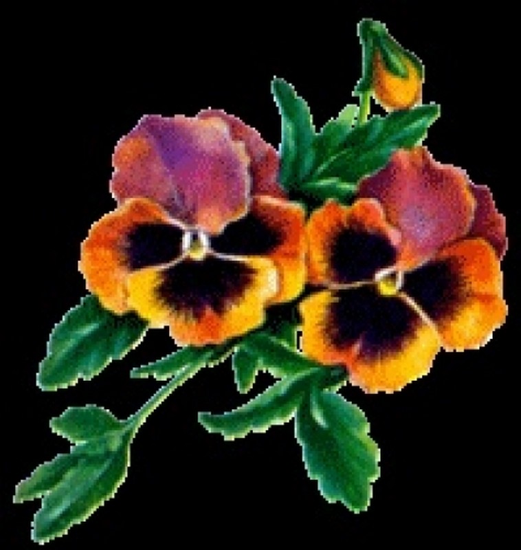 Illustration pour le poème