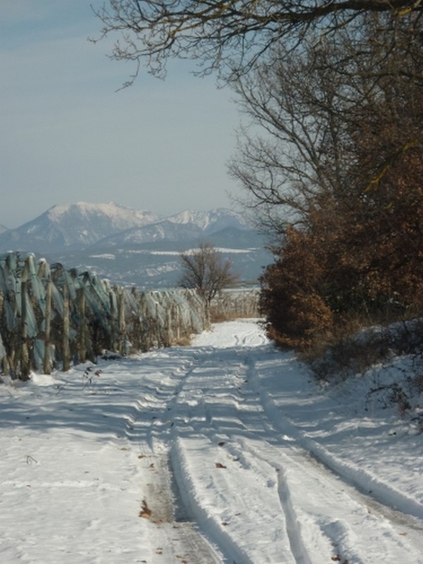 Illustration pour le poème