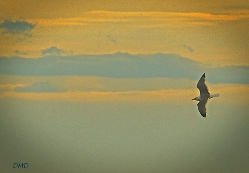 Illustration pour le poème