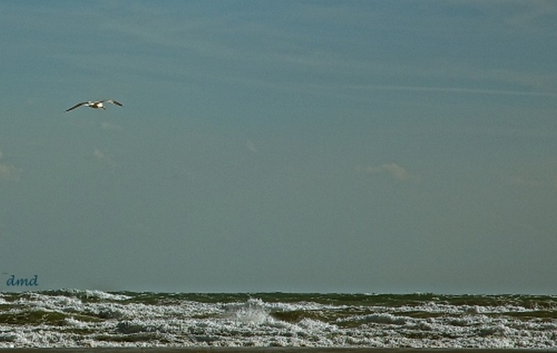 Illustration pour le poème