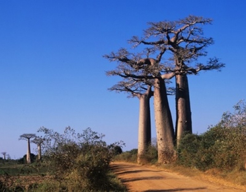 Illustration pour le poème