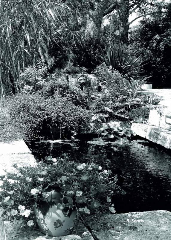 Illustration pour le poème