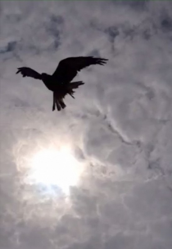 Illustration pour le poème