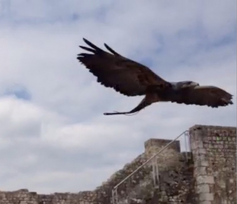 Illustration pour le poème