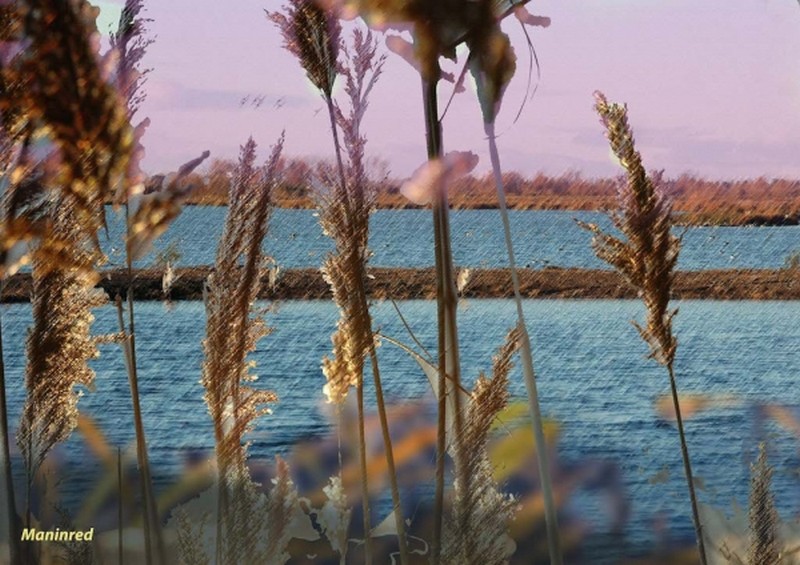 Illustration pour le poème