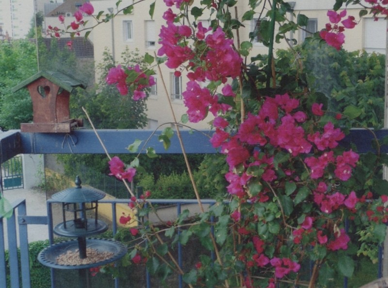 Illustration pour le poème