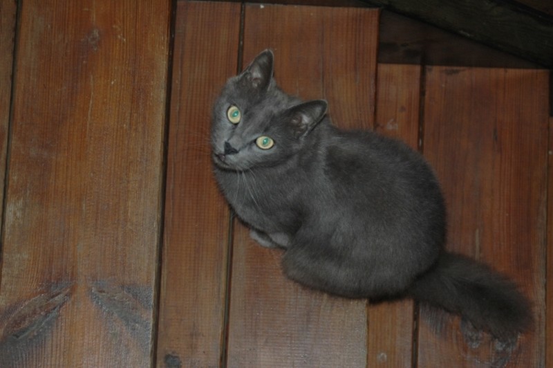 Illustration pour le poème