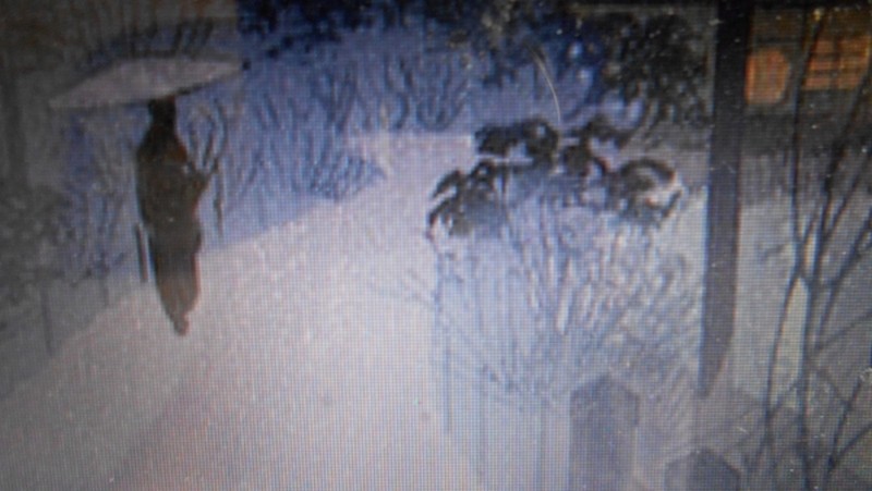 Illustration pour le poème