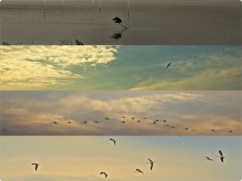 Illustration pour le poème