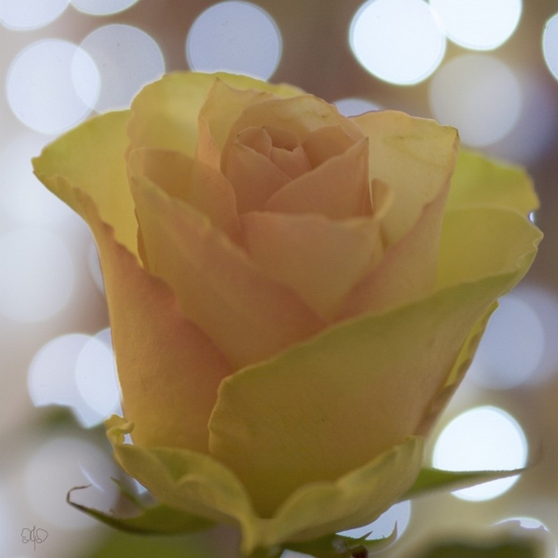 Illustration pour le poème