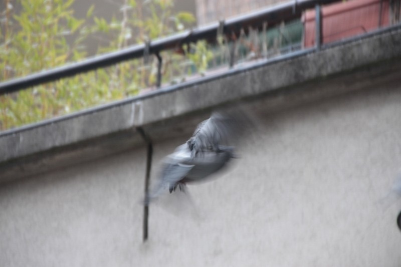 Illustration pour le poème