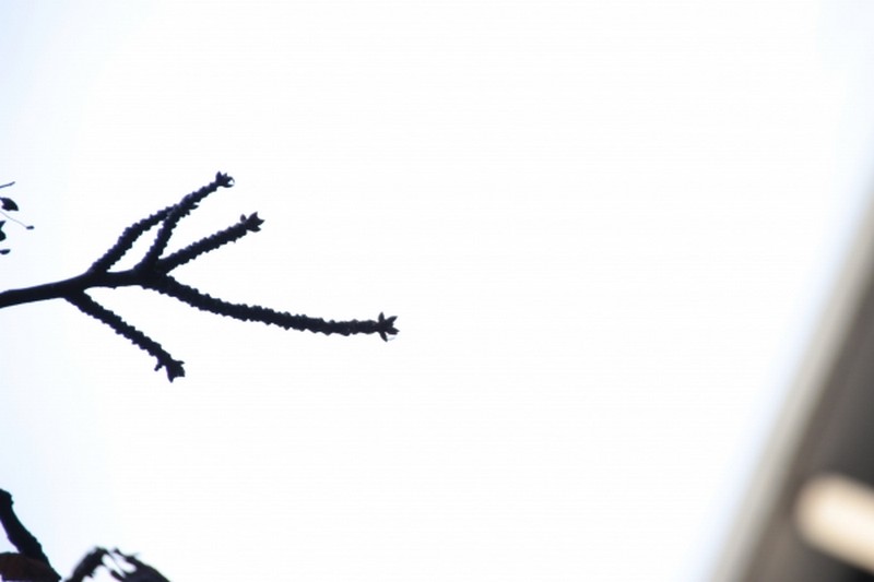 Illustration pour le poème