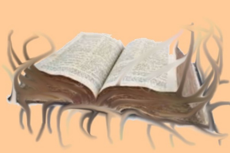 Illustration pour le poème