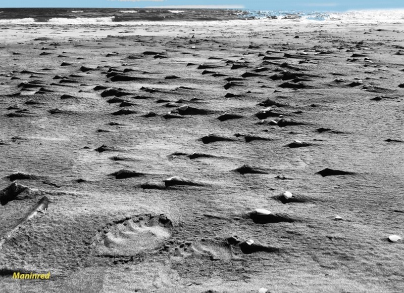 Illustration pour le poème