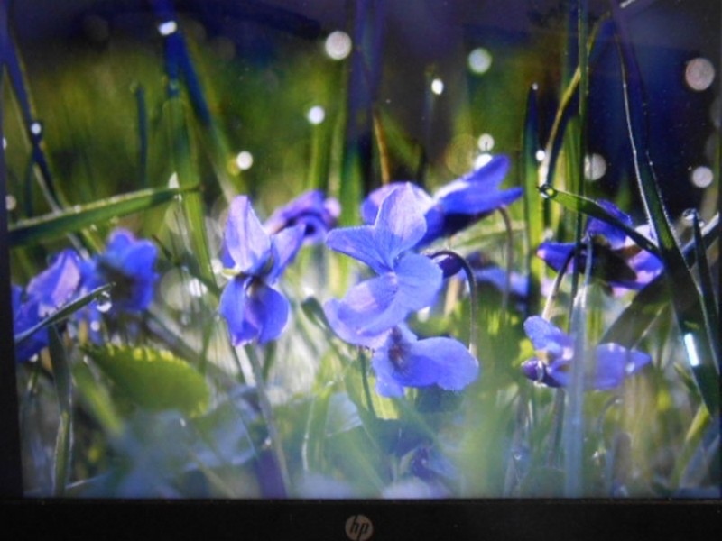 Illustration pour le poème