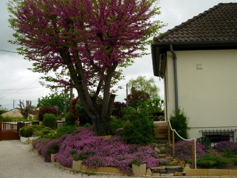 Illustration pour le poème