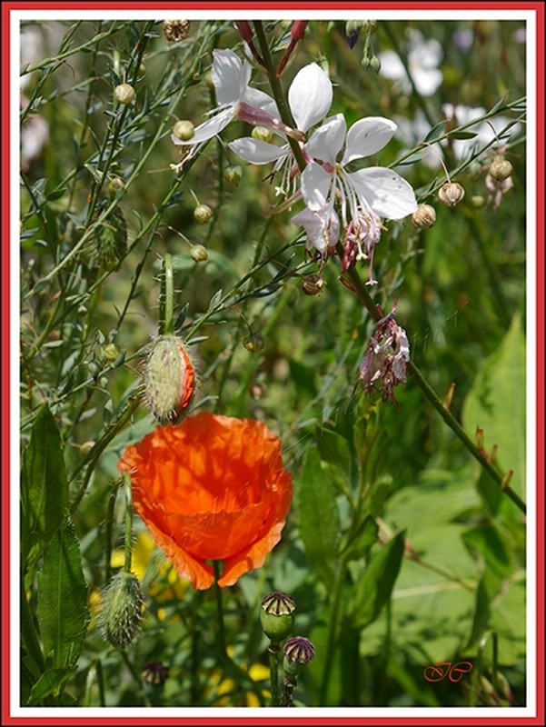 Illustration pour le poème