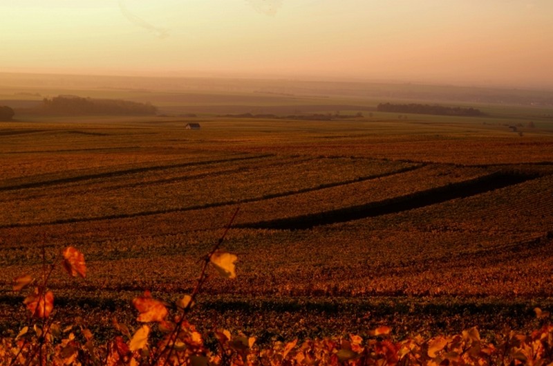 Illustration pour le poème