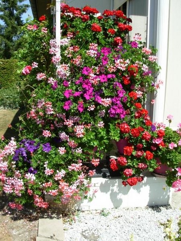 Illustration pour le poème