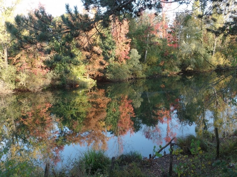 Illustration pour le poème