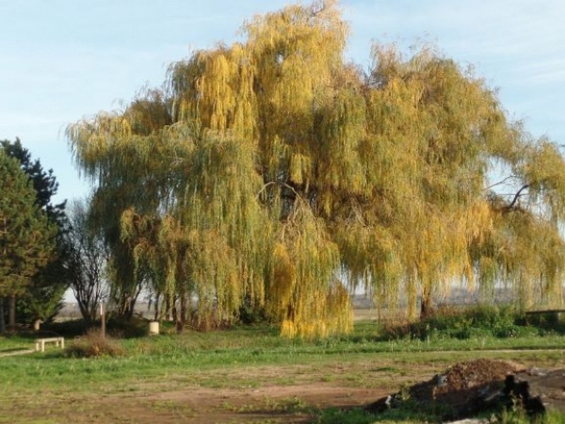 Illustration pour le poème