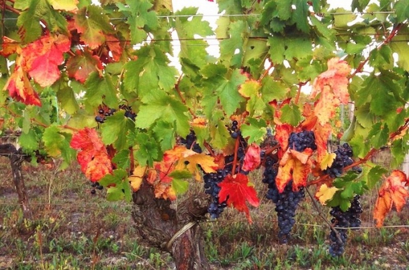 Illustration pour le poème