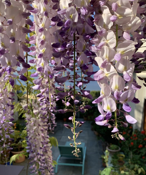 Illustration pour le poème