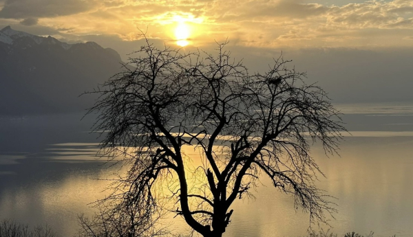 Illustration pour le poème