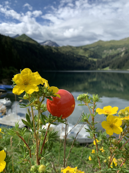 Illustration pour le poème