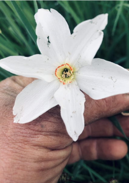 Illustration pour le poème