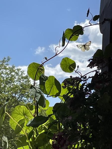 Illustration pour le poème