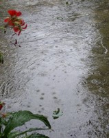 Sur le poème : <br /> "Pluie" de Joelkerdraon